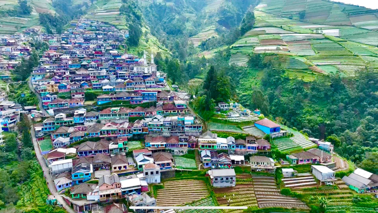 Nepal Van Java